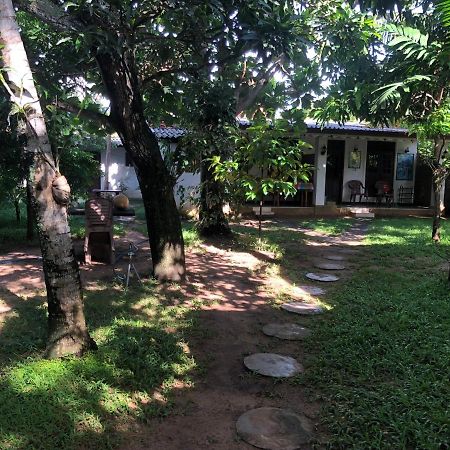 Sylvester Villa Hostel Негомбо Экстерьер фото