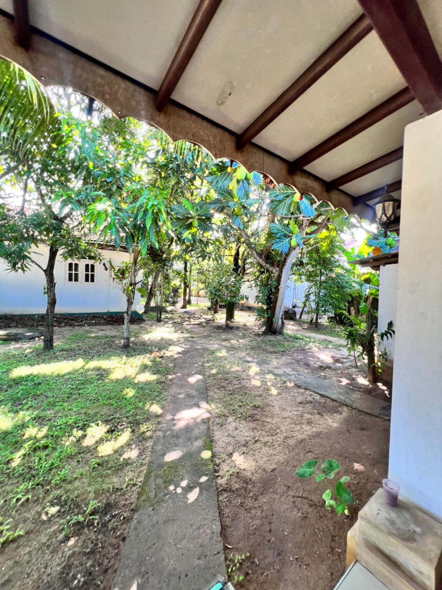 Sylvester Villa Hostel Негомбо Экстерьер фото